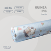 T4 Guinea Pig