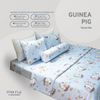 T4 Guinea Pig