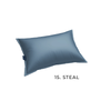 15 - Steal