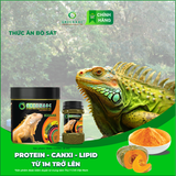  Thức ăn bò sát IGUANA TRƯỞNG THÀNH VỊ BÍ ĐỎ - Rồng Nam Mỹ trưởng thành vị bí đỏ từ 1m trở lên 