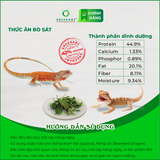  Thức ăn BÒ SÁT - Bổ sung dinh dưỡng 