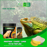  Thức ăn bò sát IGUANA TRƯỞNG THÀNH VỊ CHUỐI - Rồng Nam Mỹ trưởng thành vị chuối từ 1m trở lên 