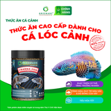  Thức ăn CÁ LÓC CẢNH - Channa Fish 