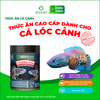 Thức ăn CÁ LÓC CẢNH - Channa Fish