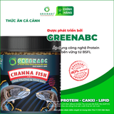  Thức ăn CÁ LÓC CẢNH - Channa Fish 