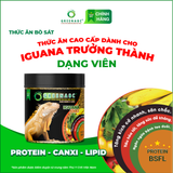  Thức ăn bò sát IGUANA Trưởng Thành dạng VIÊN - Rồng Nam Mỹ Trưởng Thành từ 1m trở lên 