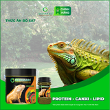  Thức ăn bò sát IGUANA TRƯỞNG THÀNH - Rồng Nam Mỹ trưởng thành từ 1m trở lên 