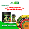 COMBO Thức ăn bò sát IGUANA BABY - Rồng Nam Mỹ Baby từ mới nở đến 9x