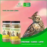  Thức ăn CHIM SƠN CA - Skylark Bird 