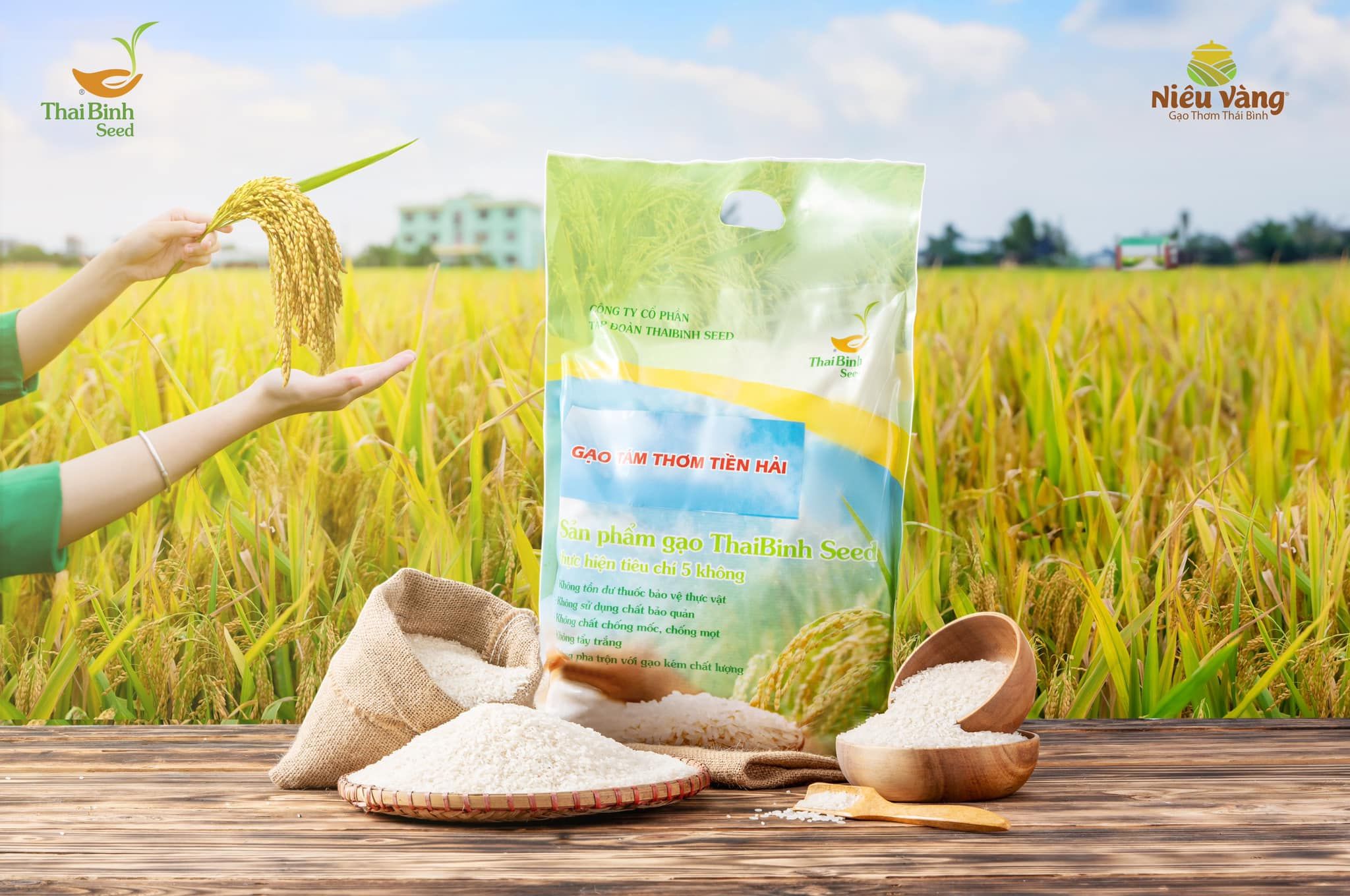  GẠO TÁM THƠM TIỀN HẢI 