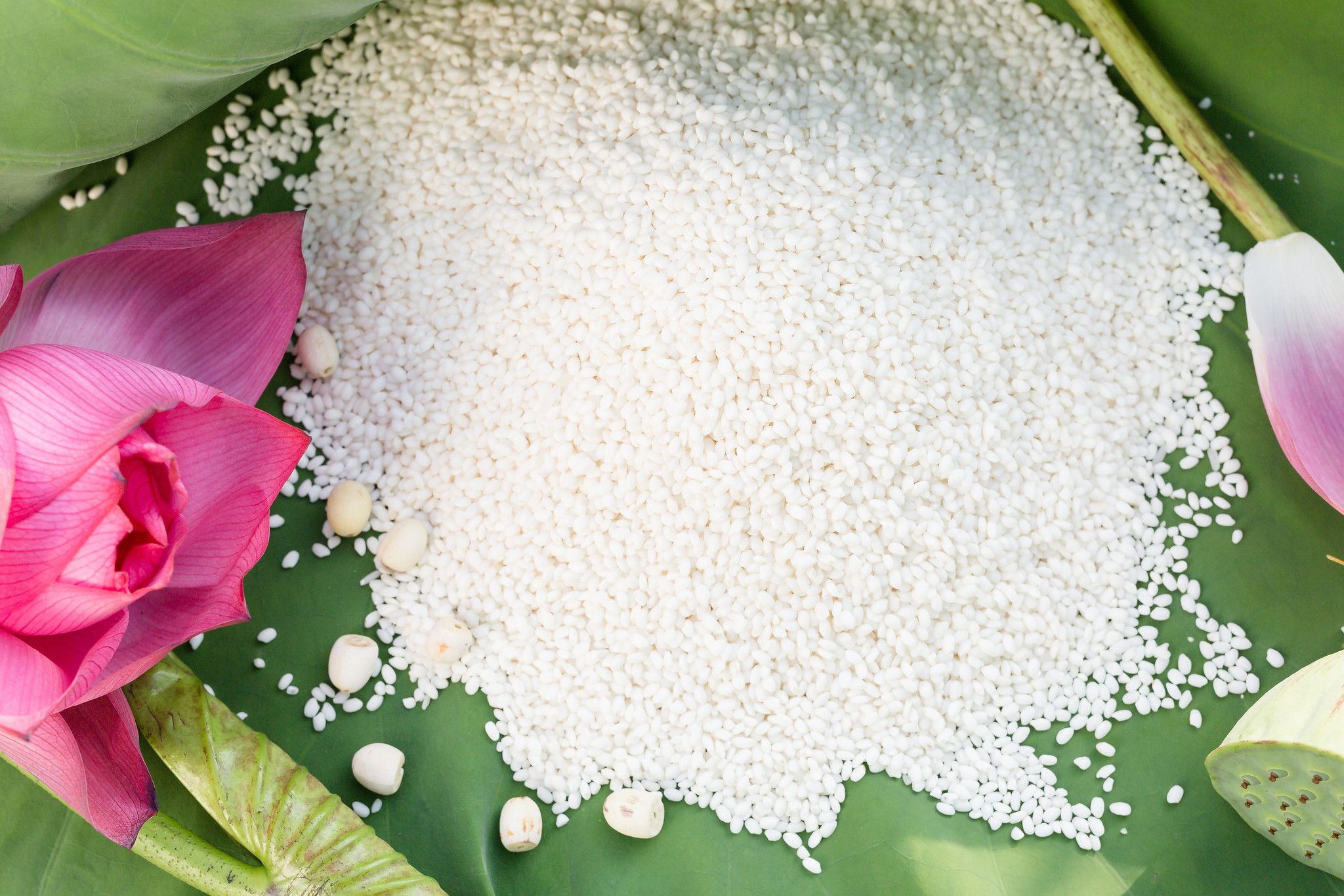  GẠO NẾP A SÀO 