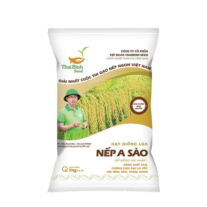  GIỐNG LÚA NẾP A SÀO 