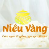  GẠO NIÊU VÀNG 