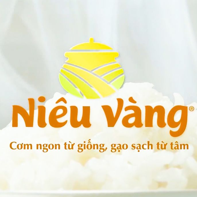  GẠO NIÊU VÀNG 