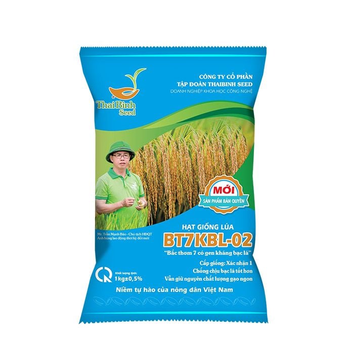  GIỐNG LÚA BT7KBL-02 (Bắc thơm 7 có gen kháng bạc lá) 