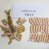 GIỐNG LẠC TB25 