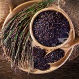  GẠO DINH DƯỠNG LỨT TÍM 