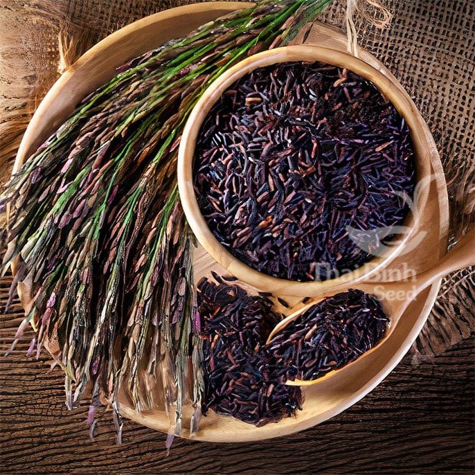  GẠO DINH DƯỠNG LỨT TÍM 