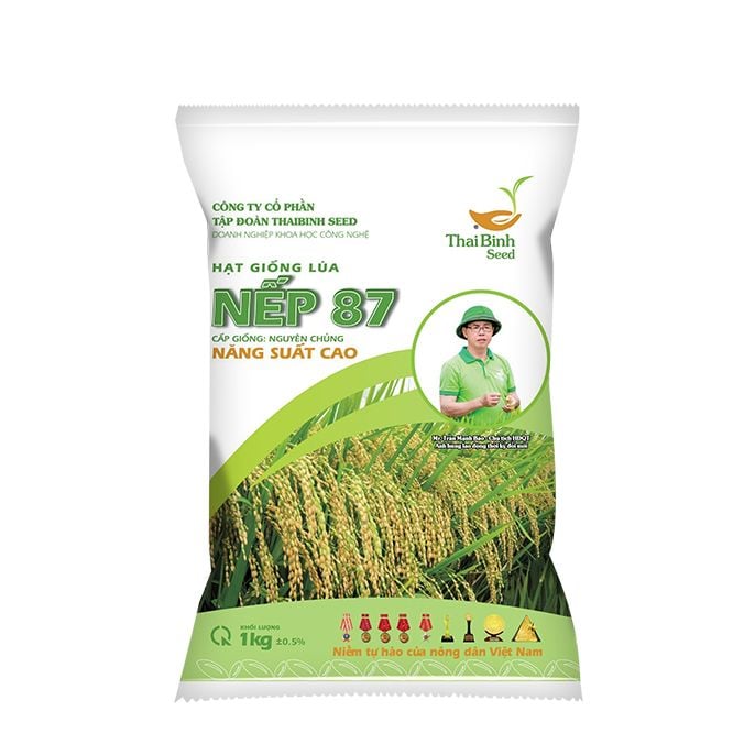  GIỐNG LÚA NẾP 87 