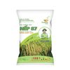  GIỐNG LÚA NẾP 87 