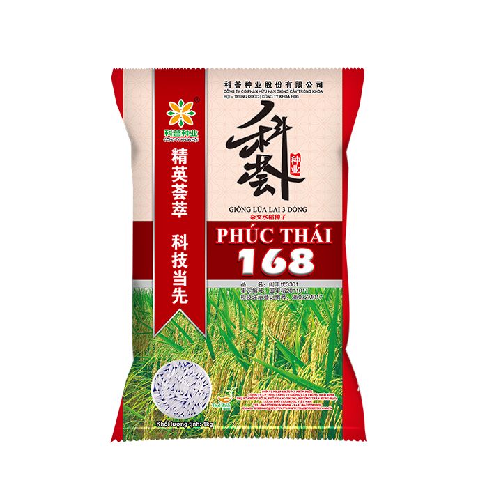  LÚA LAI PHÚC THÁI 168 