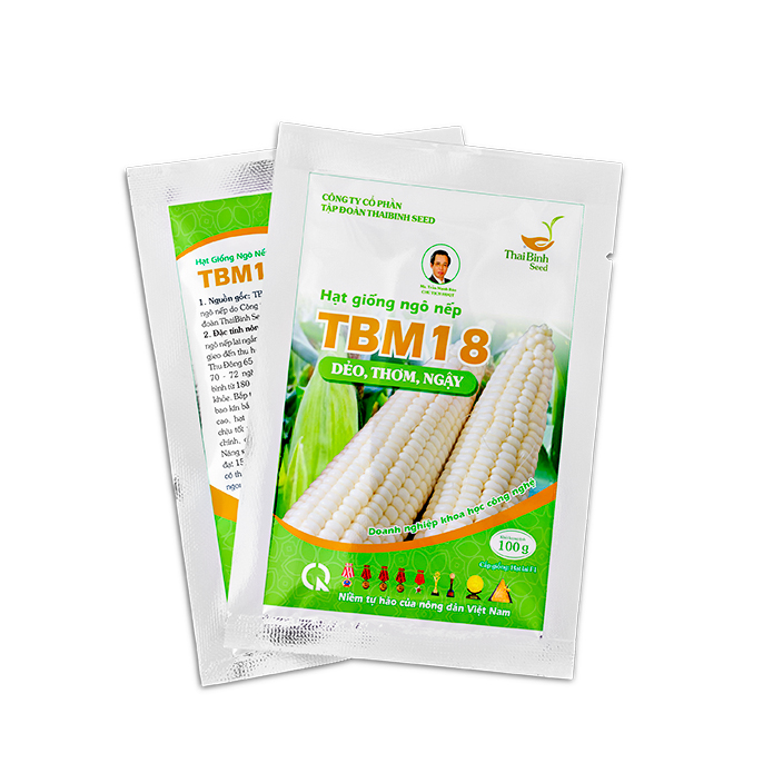 NGÔ NẾP LAI TBM18 – ThaiBinh Seed