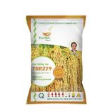  GIỐNG LÚA TBR279 
