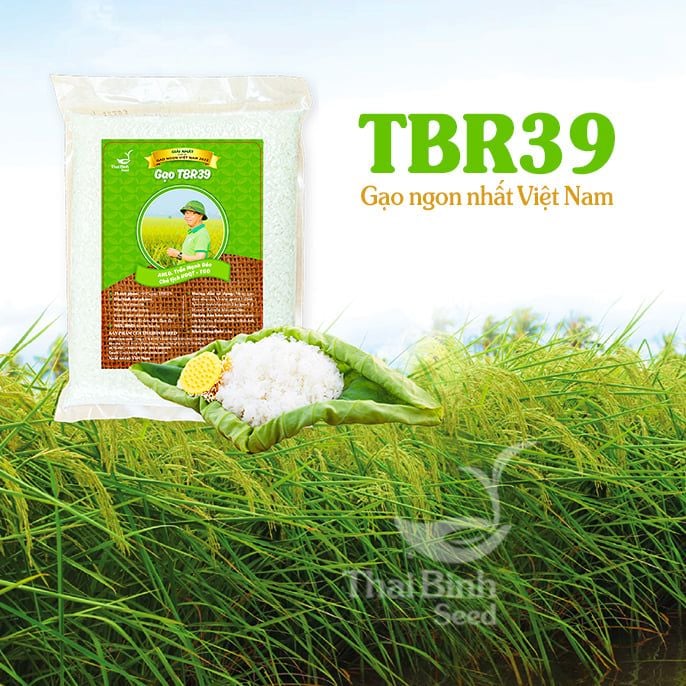  GẠO THƠM TBR39 