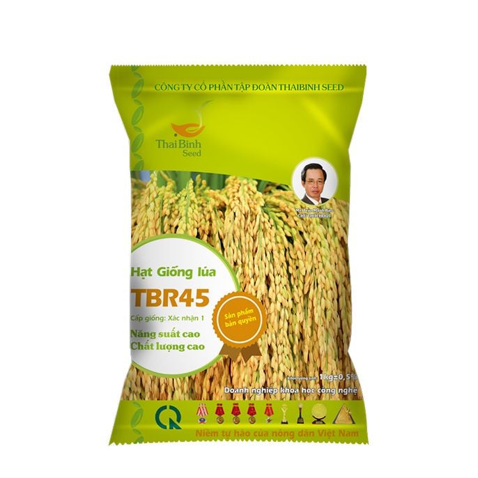  GIỐNG LÚA THUẦN TBR45 