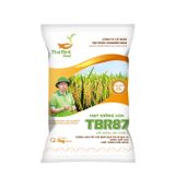  GIỐNG LÚA THUẦN TBR87 