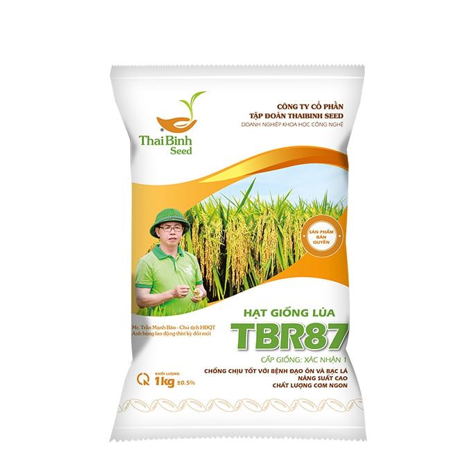  GIỐNG LÚA THUẦN TBR87 