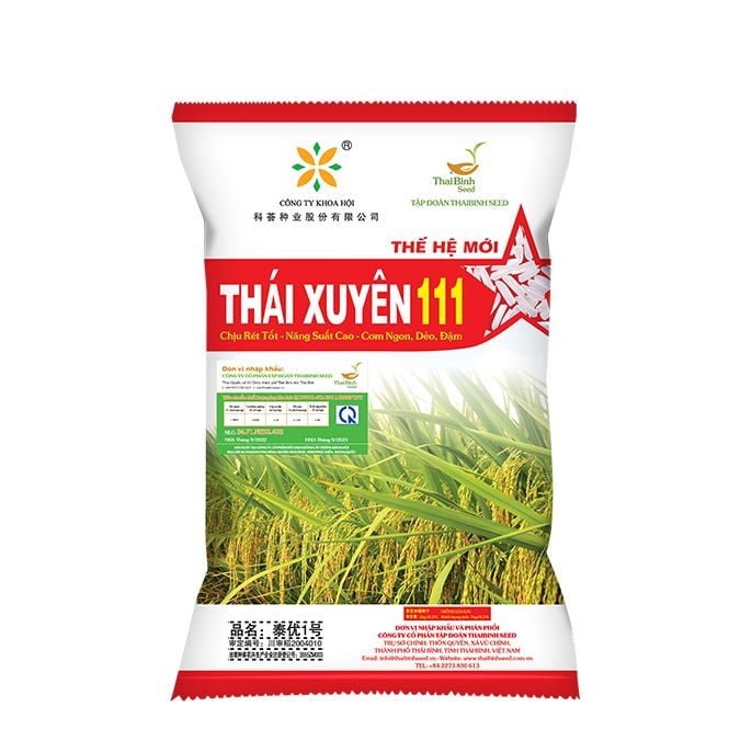  GIỐNG LÚA LAI THÁI XUYÊN 111 