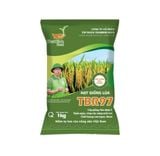  GIỐNG LÚA THUẦN TBR97 