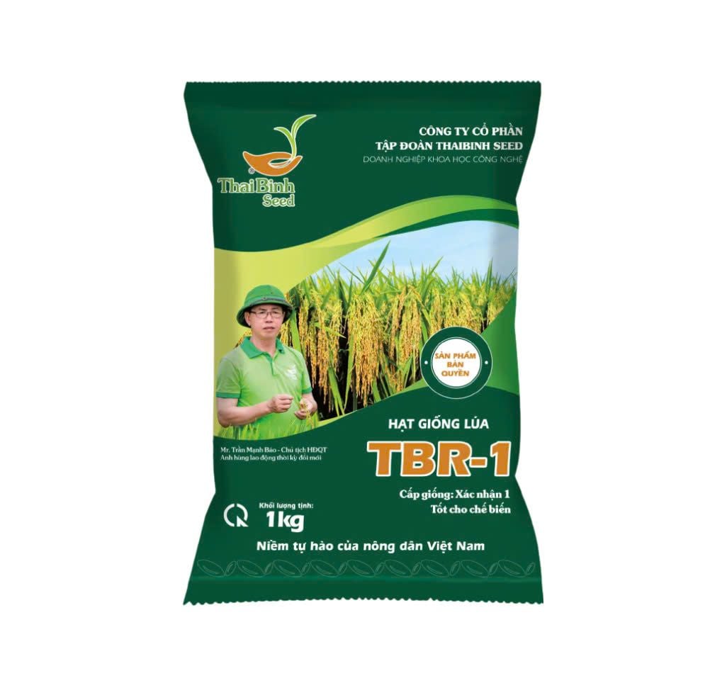  GIỐNG LÚA THUẦN TBR-1 