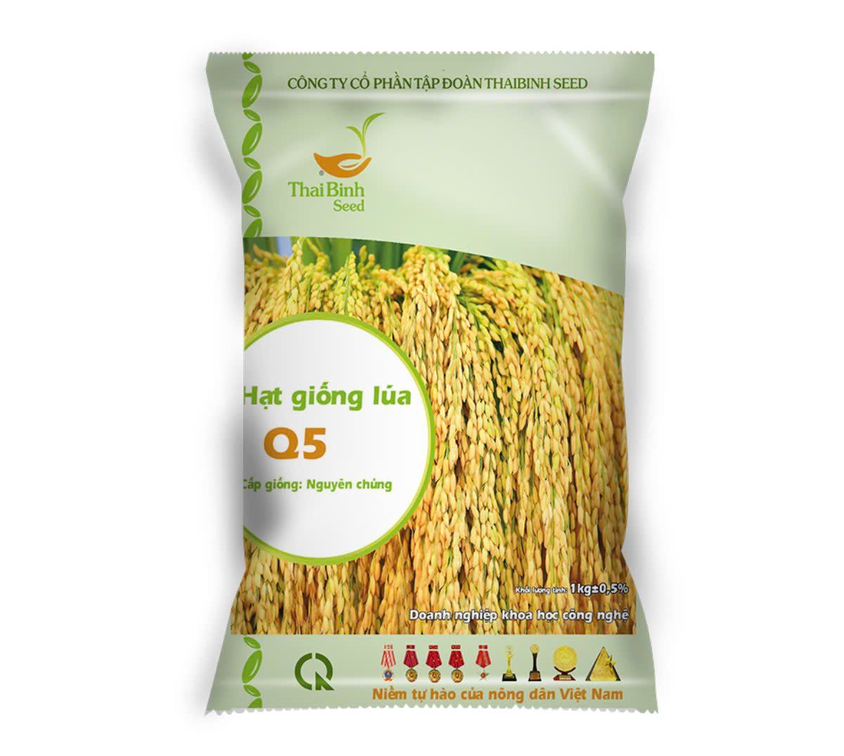  GIỐNG LÚA THUẦN Q5 