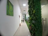  [VĂN PHÒNG Q8] 60m2 - giá chỉ 15 Tr VNĐ. Có sửa sổ - View kính hồ bơi. Vào làm việc ngay 
