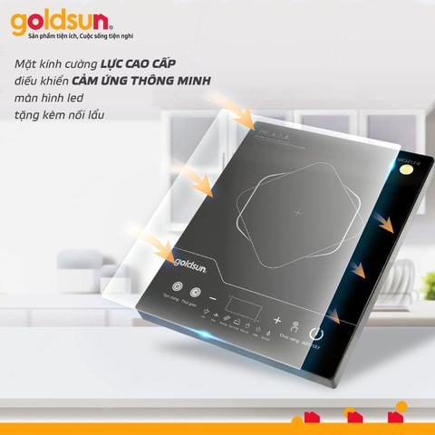 Bếp điện từ đơn GIC3212-D