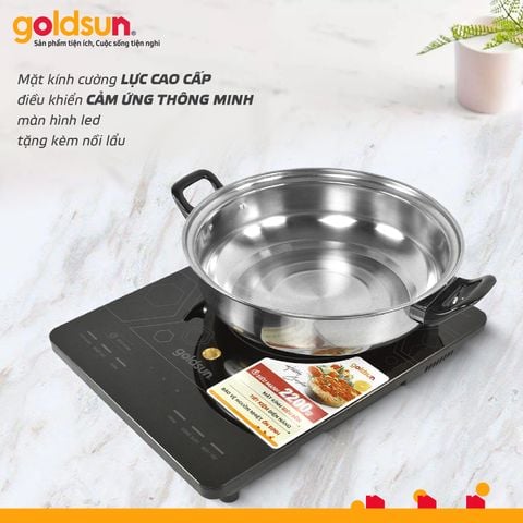 Bếp điện từ đơn GIC3203-D