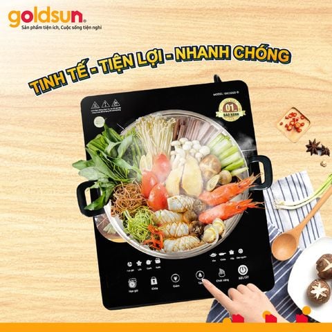 Bếp điện từ đơn GIC3203-D