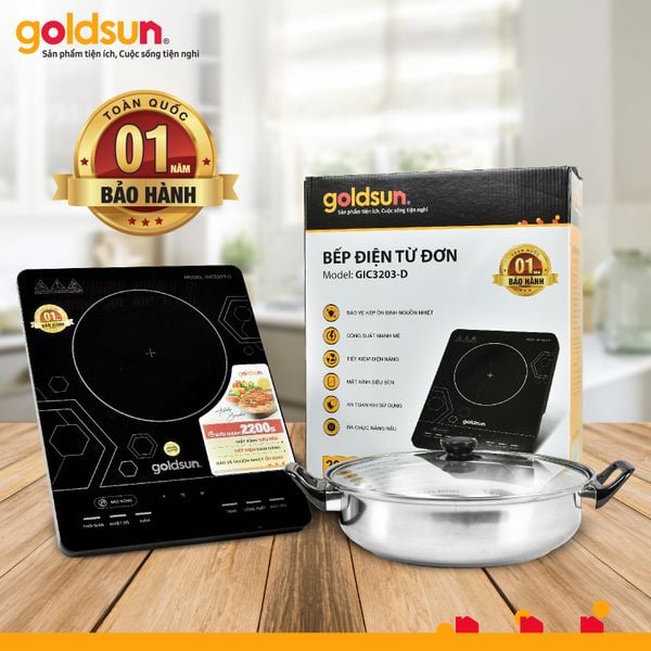 Bếp điện từ đơn GIC3203-D