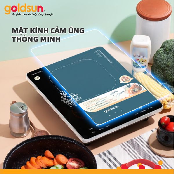 Bếp điện từ đơn GIC3250-D