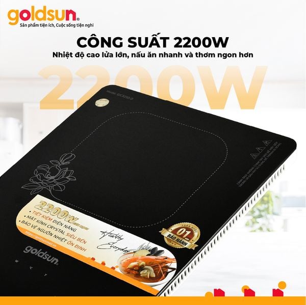 Bếp điện từ đơn GIC3250-D