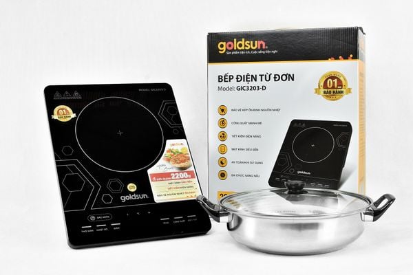 Bếp điện từ đơn GIC3203-D