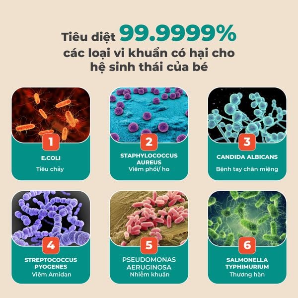 Tủ tiệt trùng UV & sấy khô GCUD03GR