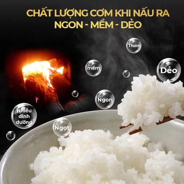 Nồi cơm điện tử GRC5050