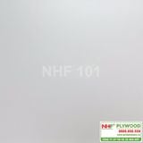  NHF 101 