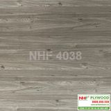  NHF 4038 
