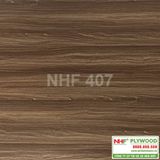  NHF 407 