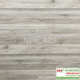  NHF 429 
