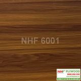  NHF 6001 